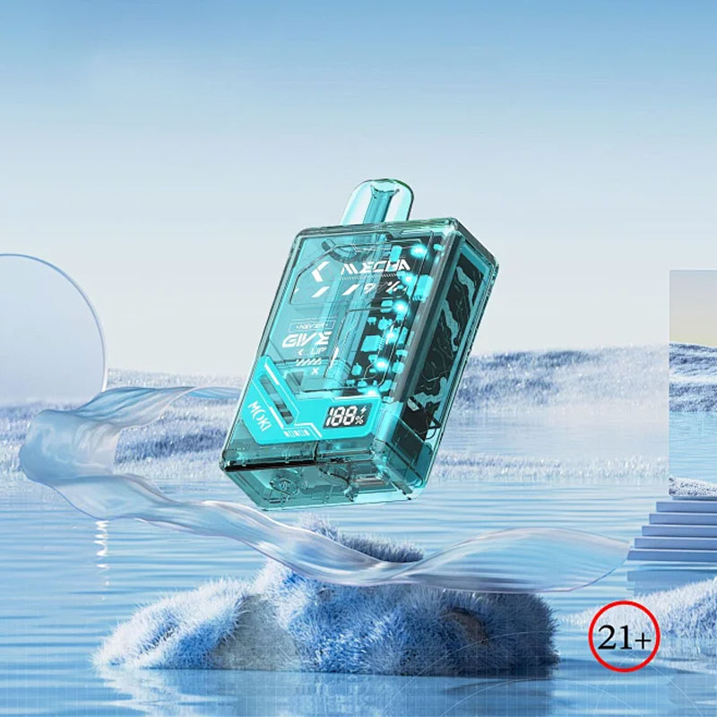 Exploring the Impact of E Cigarettes on Health: An In-Depth Essay Study