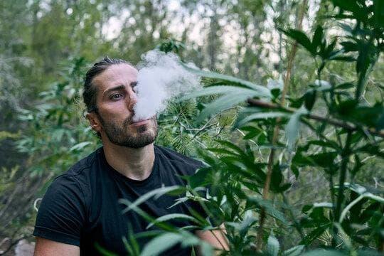 Top Picks at IBVape Vape Shop and How to Buy e cigarettes canada online Safely Today